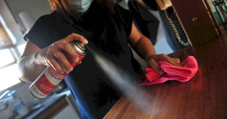 empleadas-domesticas:-asi-son-los-sueldos-en-noviembre-2024-por-hora-y-por-mes-tras-el-nuevo-aumento