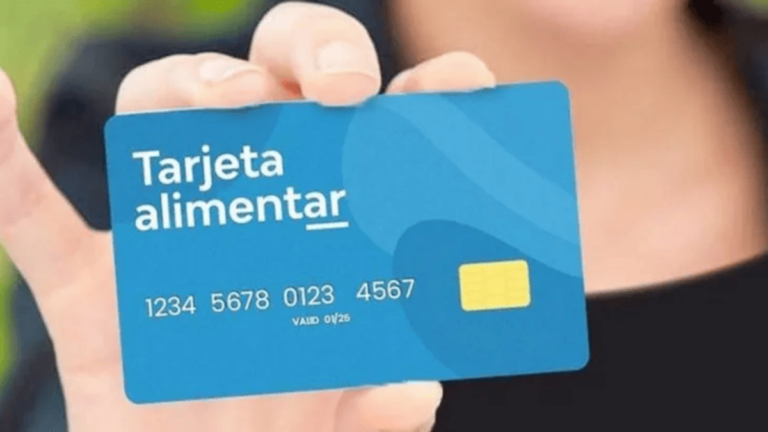 ANSES: a quién estará destinado el bono de $80.000