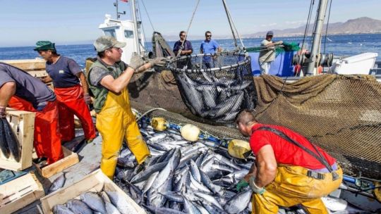 Crisis en la pesca argentina: rentabilidad negativa y caída de la demanda