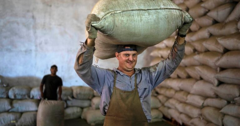 Productores impedirán el traslado de yerba a los secaderos para exigir mejores precios