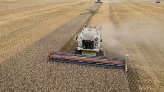 El peso del Estado sobre el campo: Cuánto se lleva de cada hectárea?