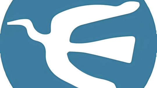 Valijas libertarias: inconsistencias en los registros y los empleados de la Aduana en la mira