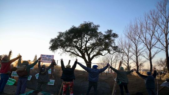 Grúa tucumana, choques con la policía y un quebracho de 284 años: crece el «Cordobazo» vegetal