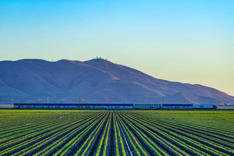 Así es la vida en Camarillo, el pequeño pueblo a una hora de Los Ángeles con miles de trabajadores migrantes