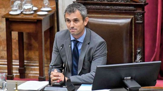 Los negocios de Los Menem S.A.