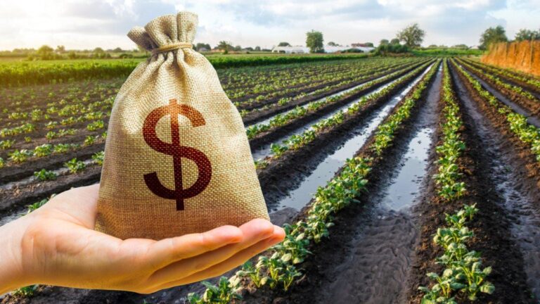 Baja de retenciones: cuál es el costo fiscal y por qué Javier Milei tiene un «colchón» para resignar ingresos