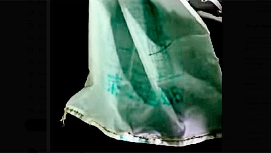 Mar del Plata: encontraron una bolsa con inscripciones chinas en el mar a más de 1.200 metros de profundidad