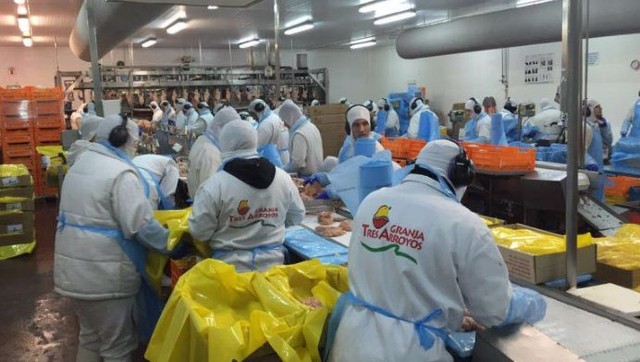 Crisis en la dueña de los pollos: paga sueldos en 4 cuotas e incumple con indemnizaciones