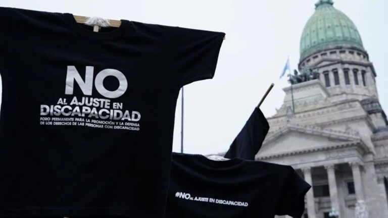 El Senado debate el rechazo del veto a Discapacidad y la regulación de los DNU