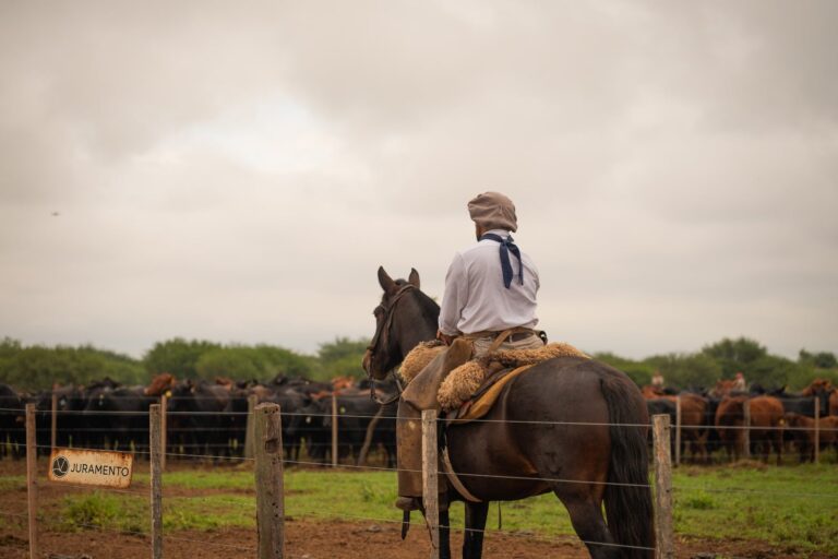 Expansión: Juramento, un gigante del agro en el norte, pagó US$56,4 millones y se quedó con un campo