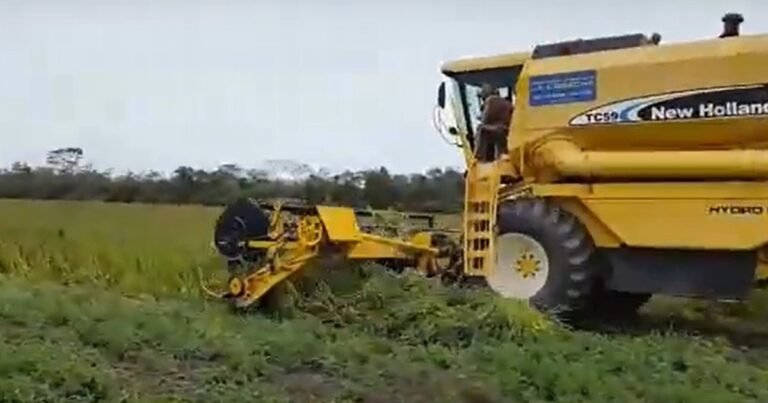 Baja de las retenciones: para los economistas, le da aire al Gobierno pero no calma la tensión política