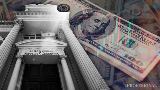 El BCRA concretó la mayor compra de dólares en diez meses y ya sumó más de u$s500 millones en 2026