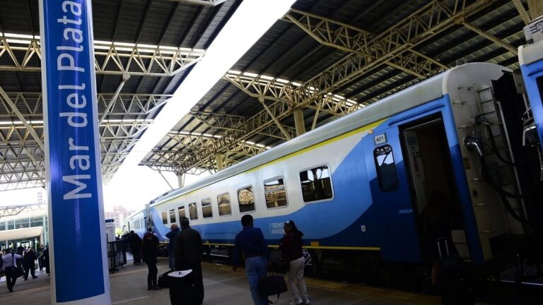 Más cambios en el Gobierno: reemplazan a dos directivos de Trenes Argentinos