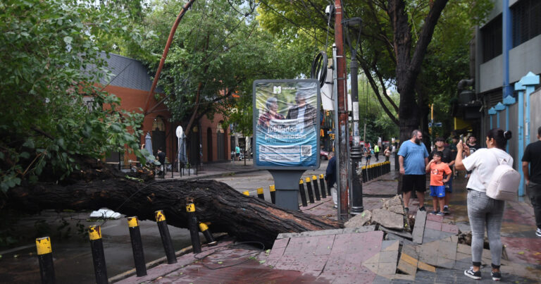 Temporal en Mendoza: granizo, inundaciones y autos arrastrados por el agua, con una retroexcavadora volcada