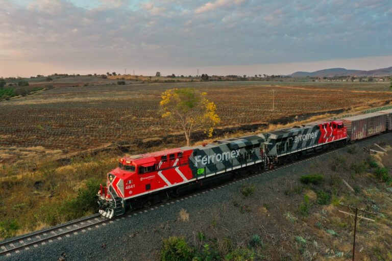 Privatización del Belgrano Cargas: cómo opera Grupo México y qué propone para desembarcar en la red de trenes del país