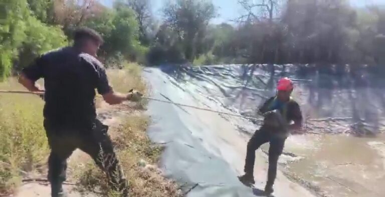 Rescatan a dos perros de un reservorio en Rawson