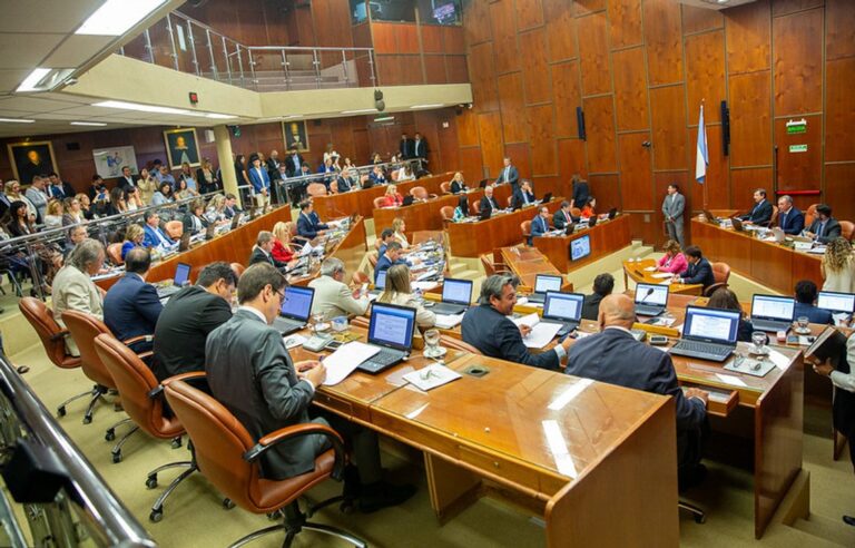 Diputado Gustavo Deguer en la Legislatura de San Juan
