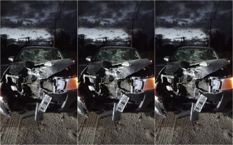Camioneta Toyota Hilux con daños frontales tras chocar contra un caballo en la Ruta 153