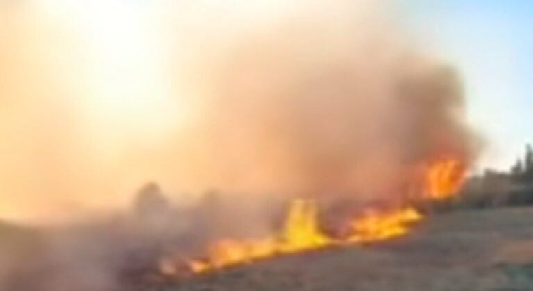 Bomberos trabajando en la extinción de un incendio en una zona rural de San Juan