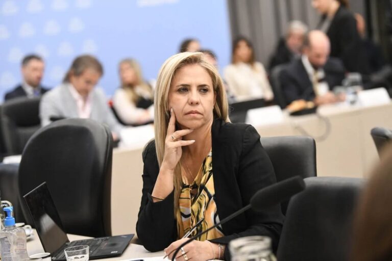 Diputada nacional Nancy Picón durante una sesión en el Congreso