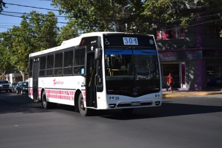 Colectivo de la Red Tulum circulando por una calle de San Juan