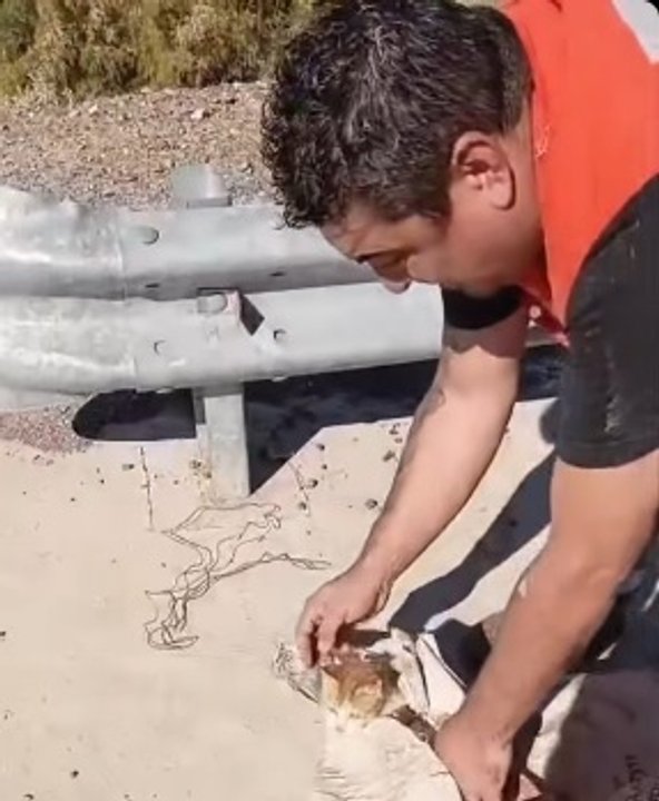 Trabajador liberando a un gato de una bolsa de arpillera a orillas del Río Jáchal