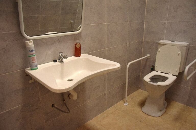 Elementos de un kit de adaptación para baño: baranda de seguridad, silla de ducha e inodoro especial.
