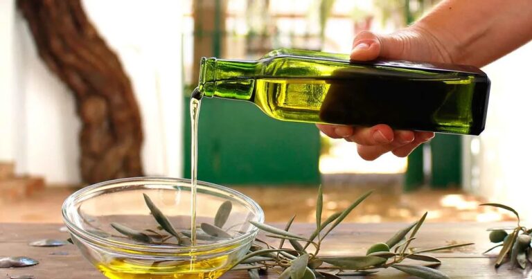 Campo de olivos en San Juan con aceite de oliva extra virgen