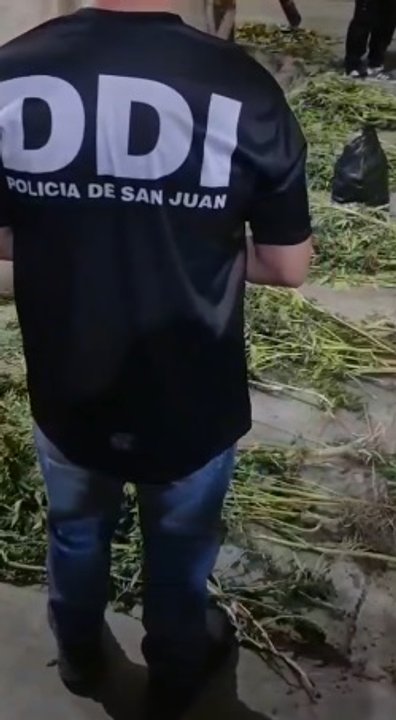 Operativo policial en el Barrio Manantial, San Juan, donde se secuestró droga y armas.