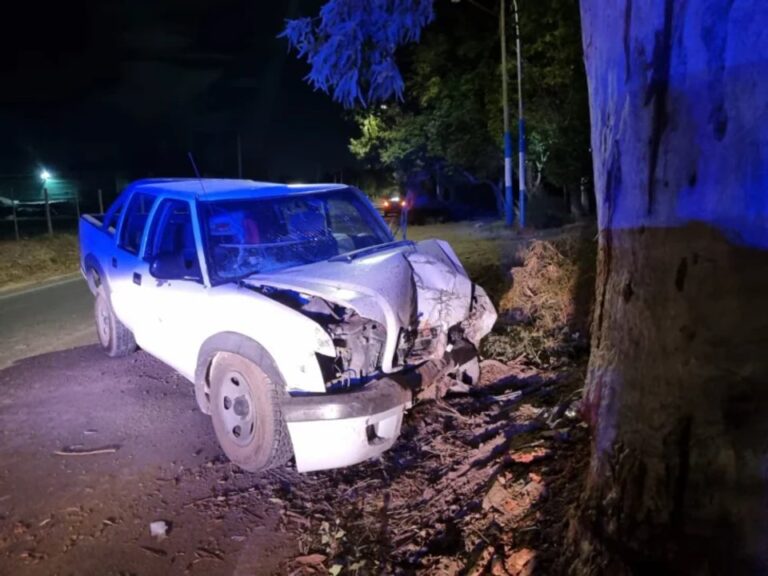 Camioneta Chevrolet S10 chocada contra un árbol en Pocito, San Juan